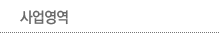 사업영역